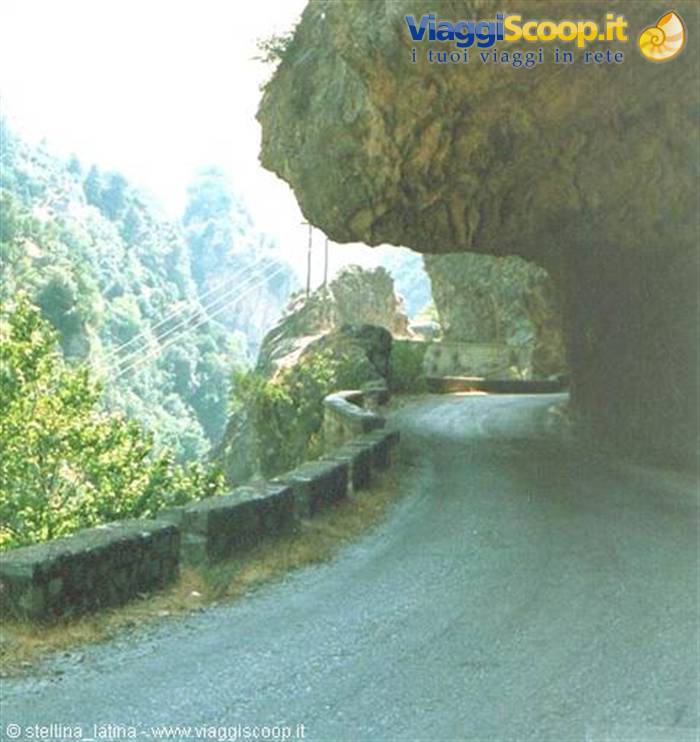 the road from Parnassus towards Sparta