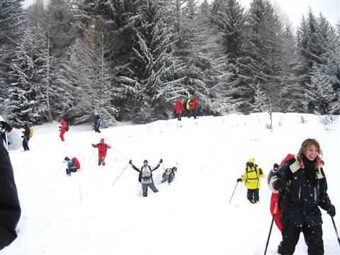 Group of skiers with backpacks among snowy firs, snow falling