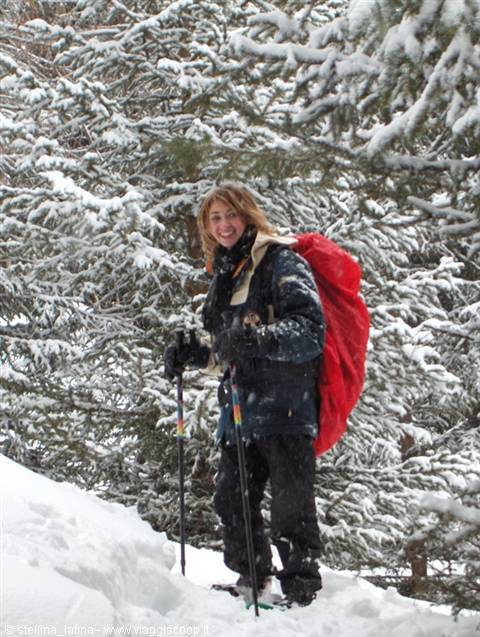 Smiling hiker with red backpack and poles among snow-covered firs