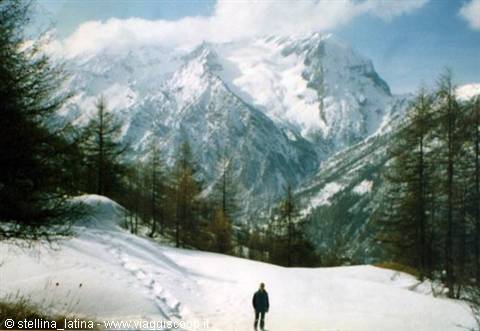 Man standing on snow among larches, snowy mountains and glacier behind