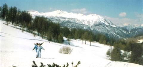 Two skiers in blue suits on snow among firs and snowy peaks