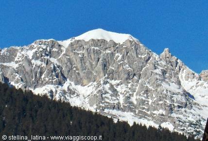 Snow-covered rocky peak above a fir forest, blue sky