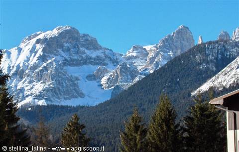 Snow-capped Dolomite peaks above fir forests under blue sky