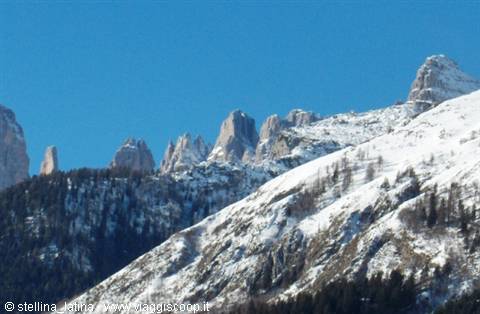 Snow-covered Dolomite peaks under blue sky, dark firs on the slope
