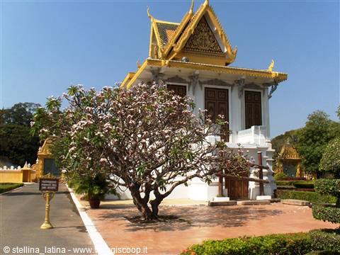 The Royal Palace