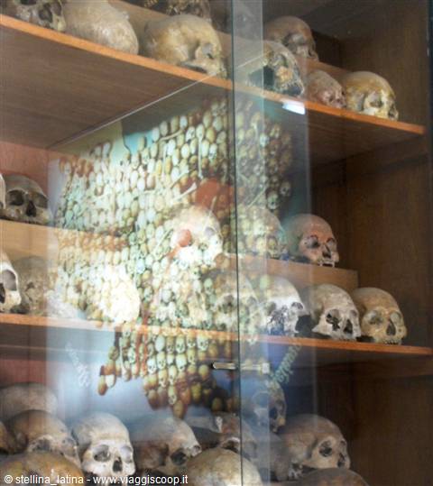 Rows of skulls on wooden shelves behind glass, memorial to the victims