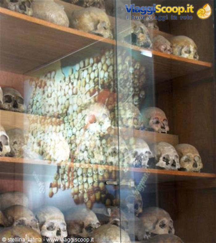 Rows of skulls on wooden shelves behind glass, memorial to the victims