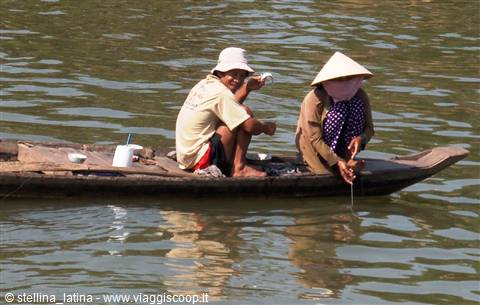 the Mekong delta