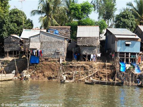 the Mekong delta