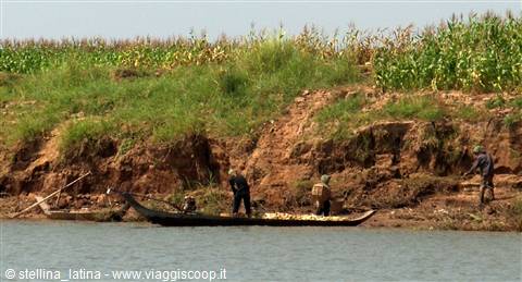 the Mekong delta