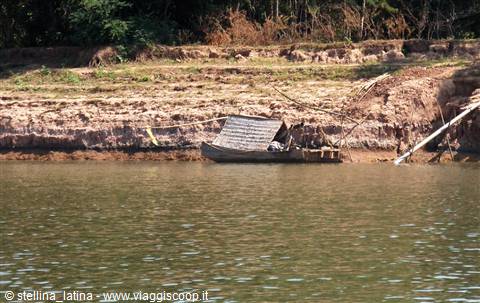 the Mekong delta