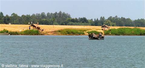 the Mekong delta