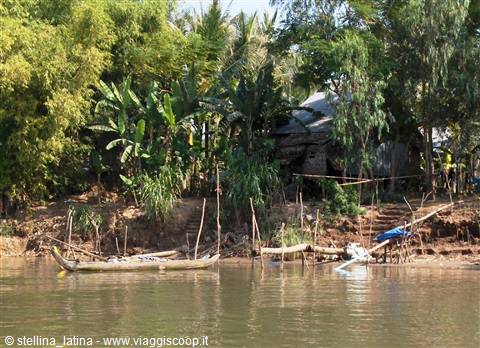 the Mekong delta