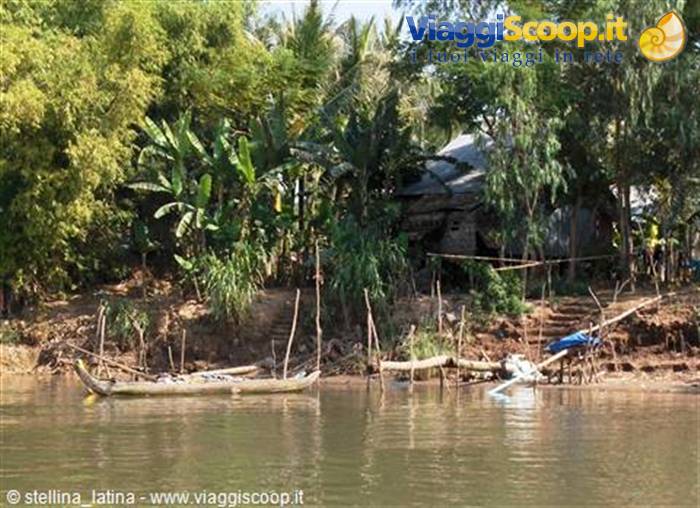 the Mekong delta