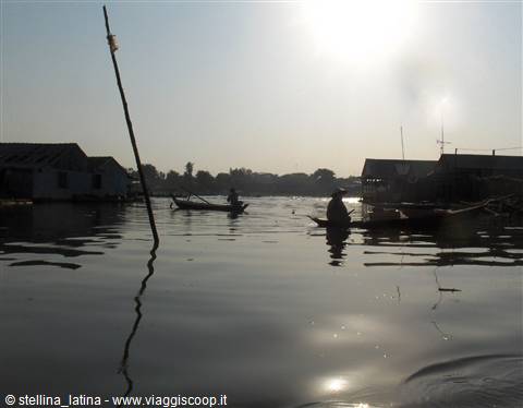the Mekong delta