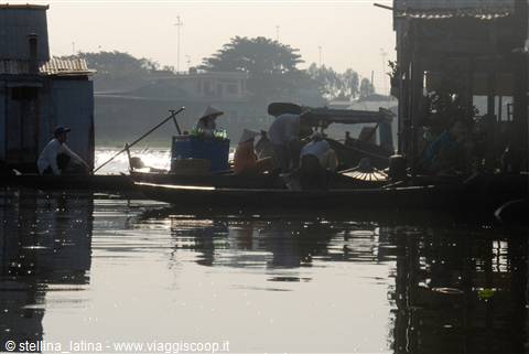 the Mekong delta