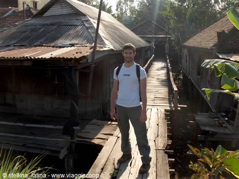 the Mekong delta