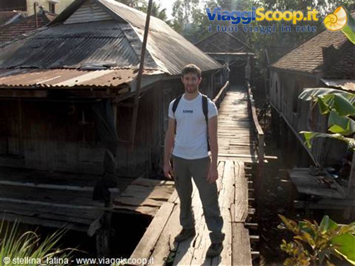 the Mekong delta