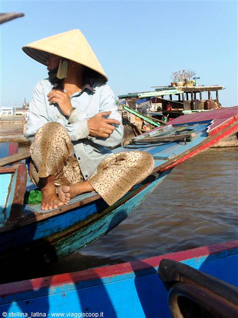 the Mekong delta
