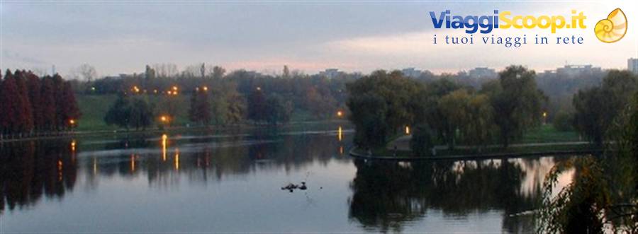 Swans glide on the lake at dusk among autumn trees and lit lamps