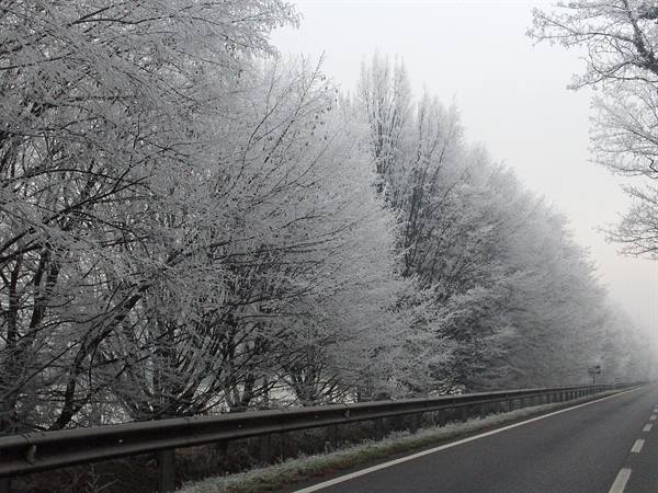 Frost-covered trees along an asphalt road with guardrail, gray sky
