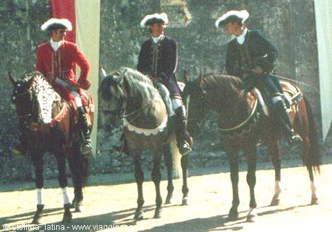Chambord - guards