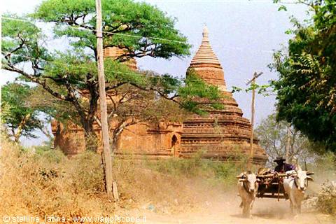 Bagan: farmers among the ancient Payas