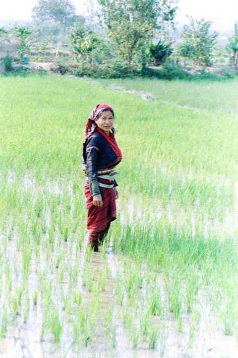 Kengtung: Silver Palau woman