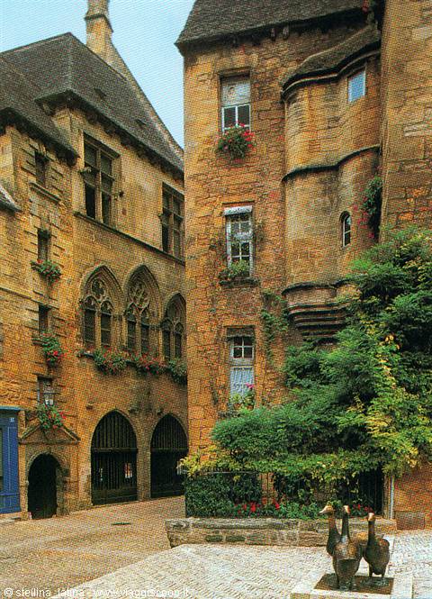 les vins - postcard of the geese square