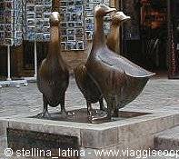 geese in Sarlat - from the internet