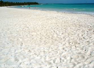 saona: calendar beach 2