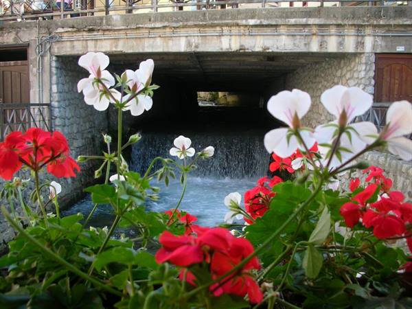 wooden bridge
