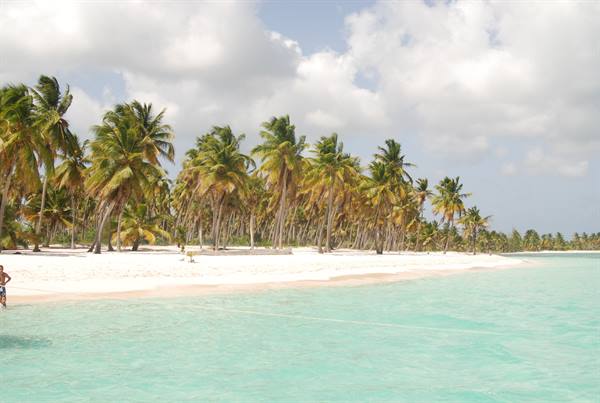 White sand beach with palm trees and turquoise water, a swimmer on the left