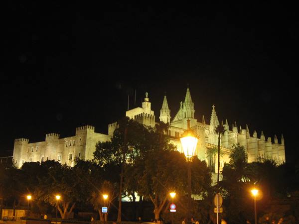 Palma de Mallorca cathedral lit up at night among trees and street lamps