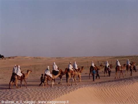 Sahara Desert