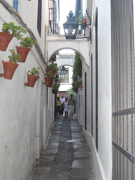 Calle de los flores