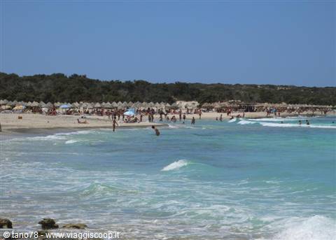Chrissi islet
