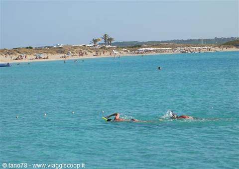 Illetas beach