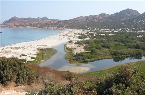 Ostriconi