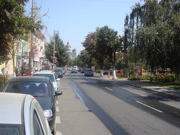 Parked cars along a tree-lined avenue, cathedral dome in the background