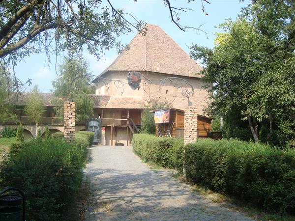 Tree-lined path leading to a medieval stone fortress with sloped tiled roof