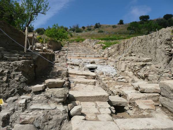 HALAESA