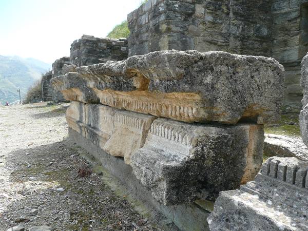 HALAESA