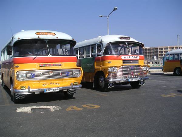 Malta - bus