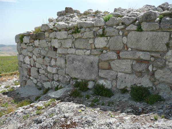 ENTELLA