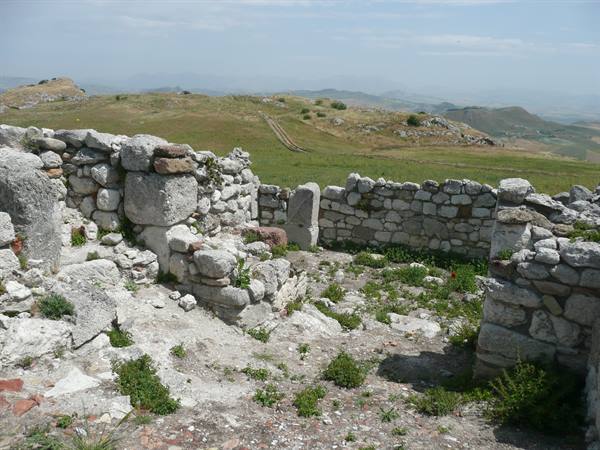 ENTELLA
