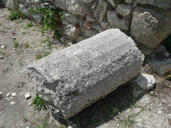 ENTELLA
