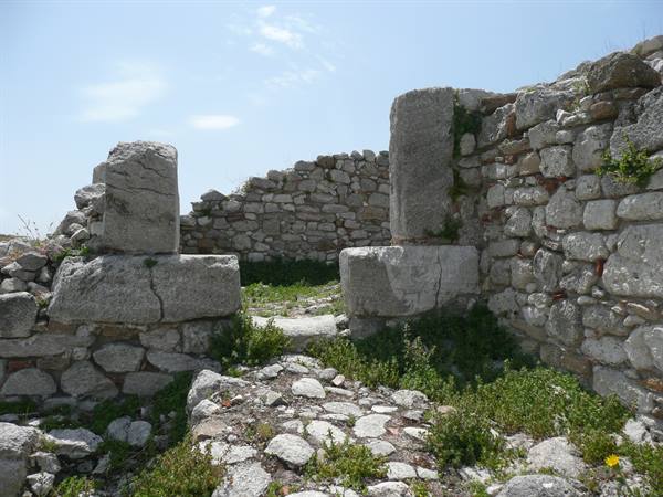 ENTELLA