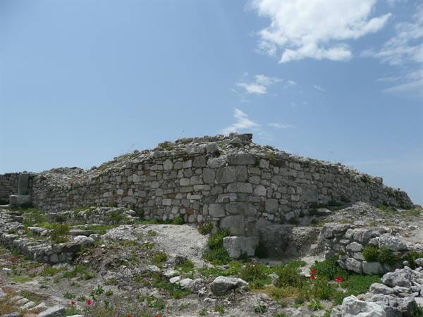 ENTELLA