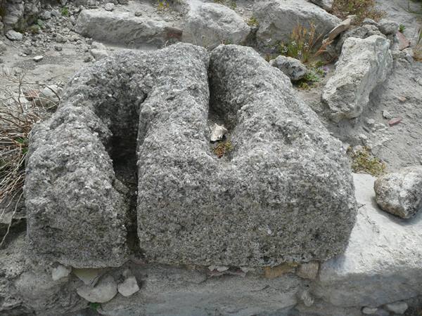 ENTELLA